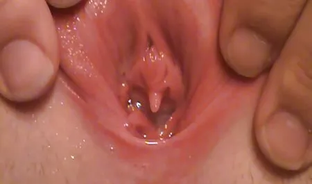 Harmony tầm nhìn phim set nhat ban moi đóng đinh, chết tiệt